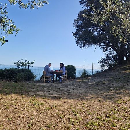 Eteras Verrusio Art Ξενοδοχείο Torino di Sangro Εξωτερικό φωτογραφία