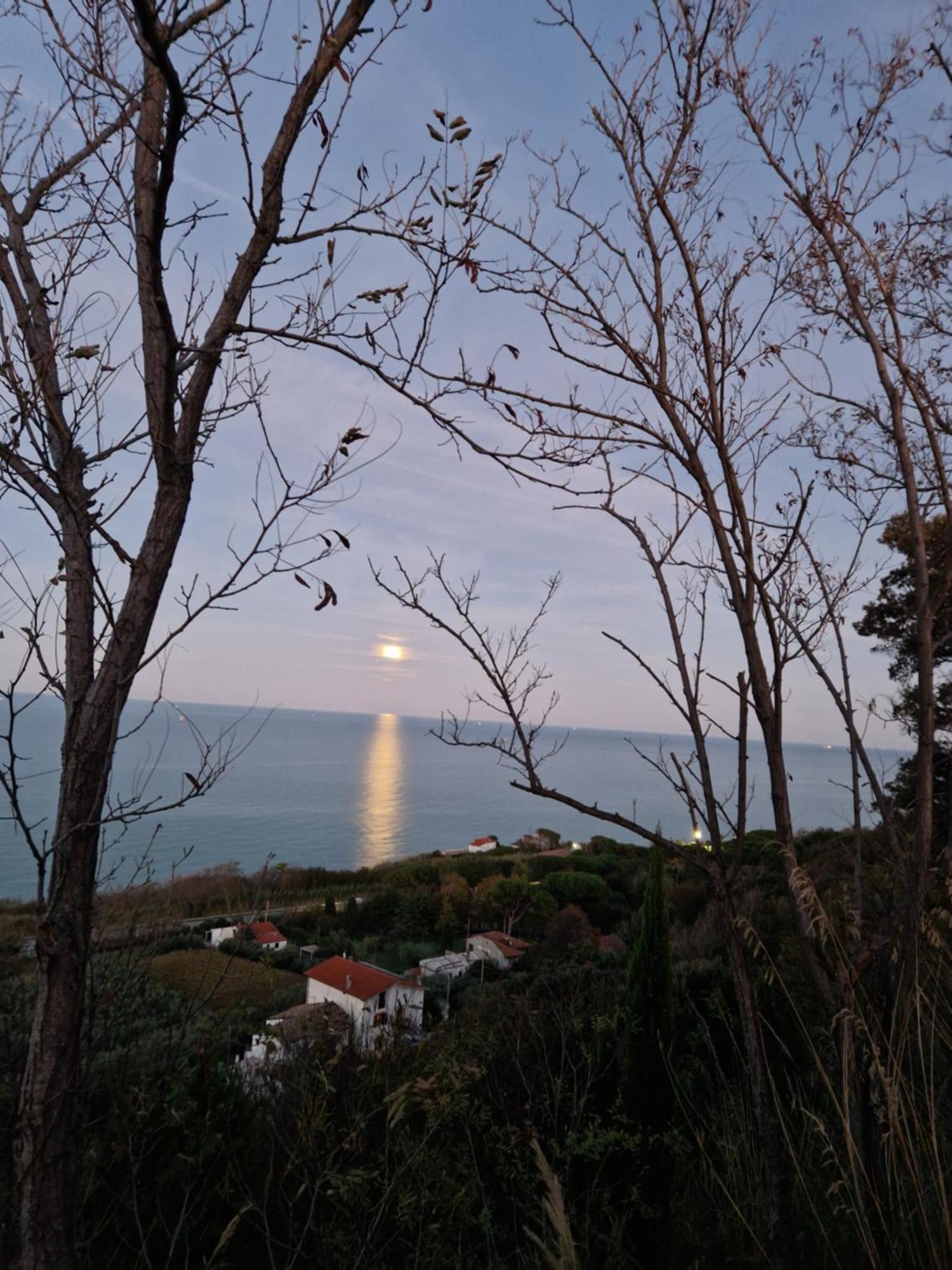 Eteras Verrusio Art Ξενοδοχείο Torino di Sangro Εξωτερικό φωτογραφία