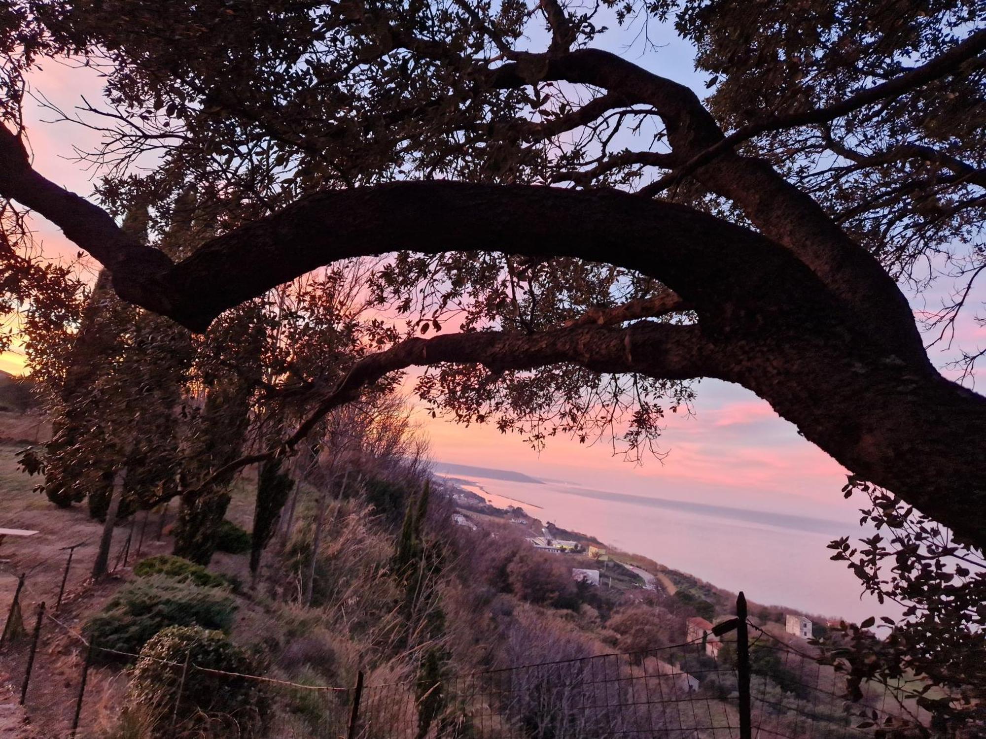 Eteras Verrusio Art Ξενοδοχείο Torino di Sangro Εξωτερικό φωτογραφία