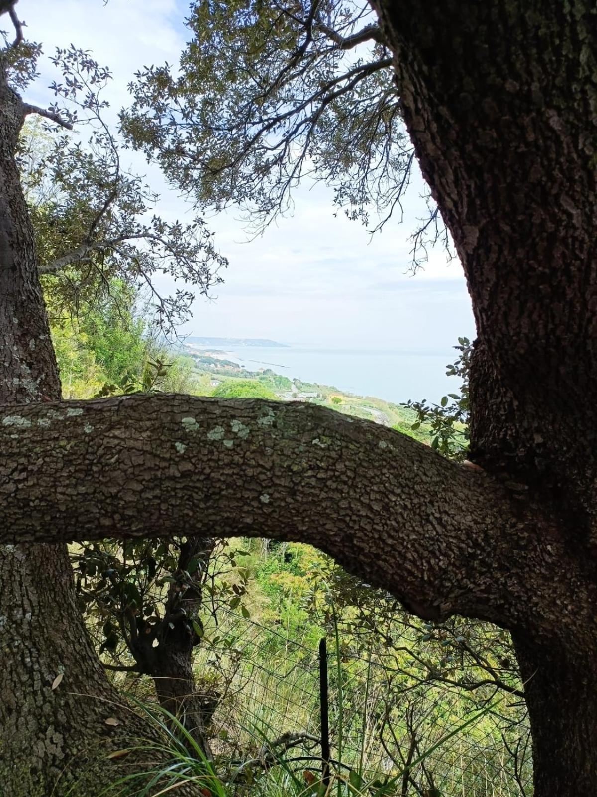 Eteras Verrusio Art Ξενοδοχείο Torino di Sangro Εξωτερικό φωτογραφία